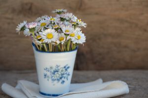 Gänseblümchen im Eimer